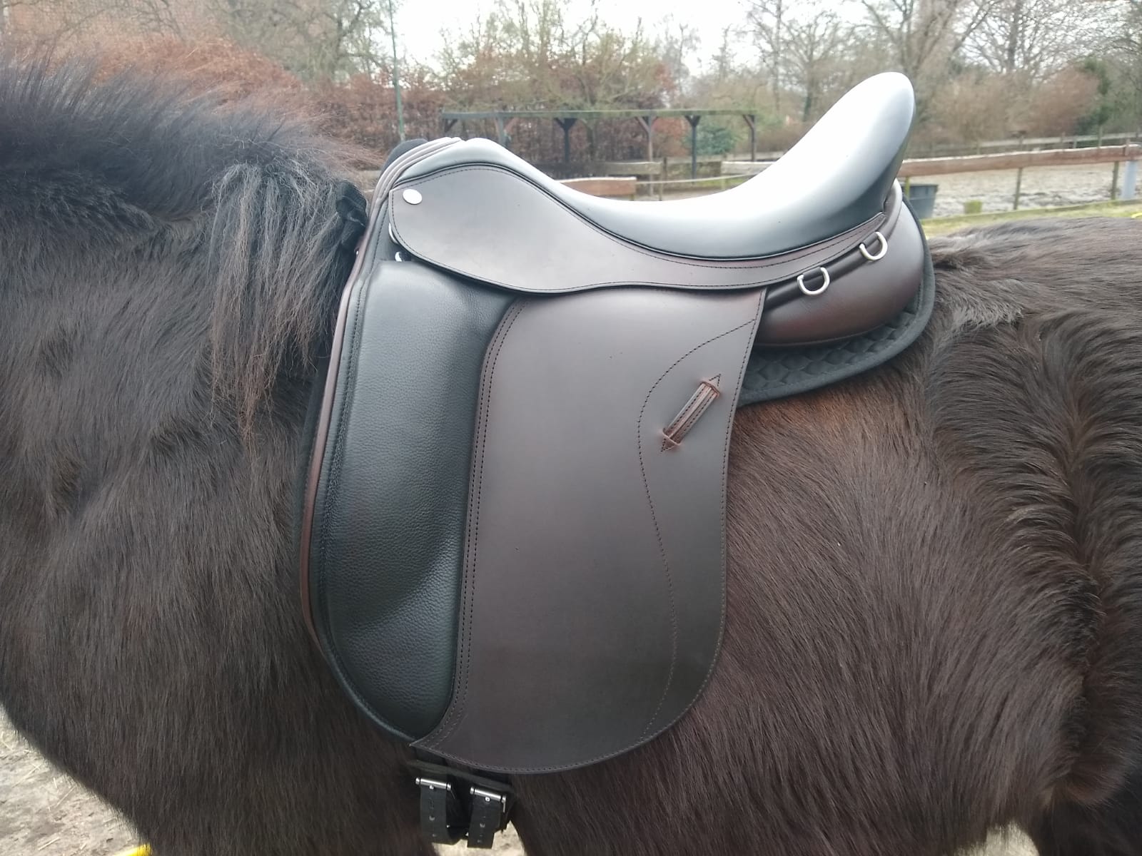 Review: Ihesta Passion saddle