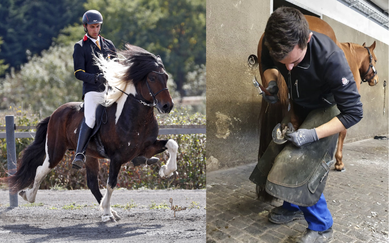 New farrier on the block: Nicolas Fedorov